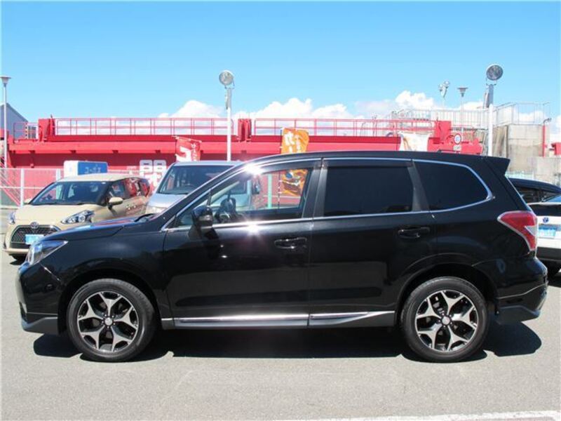 FORESTER