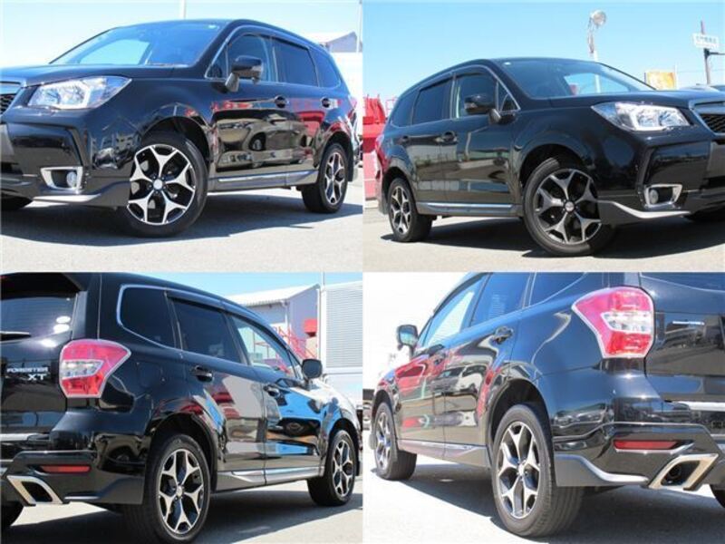 FORESTER