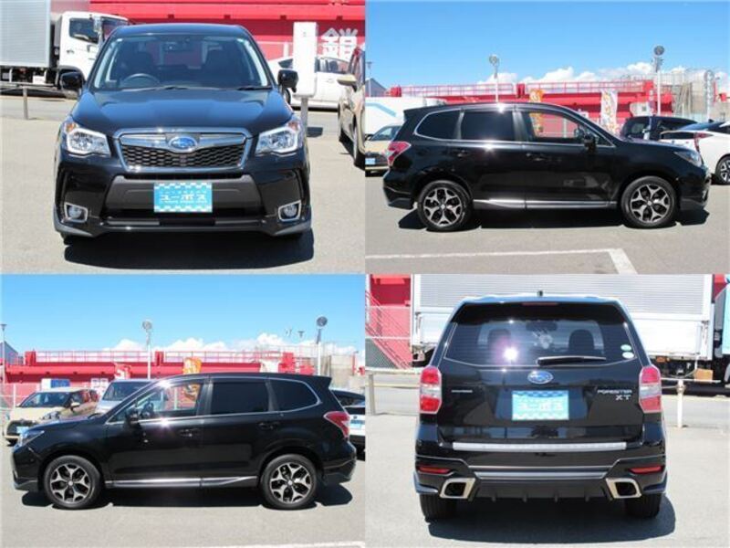 FORESTER