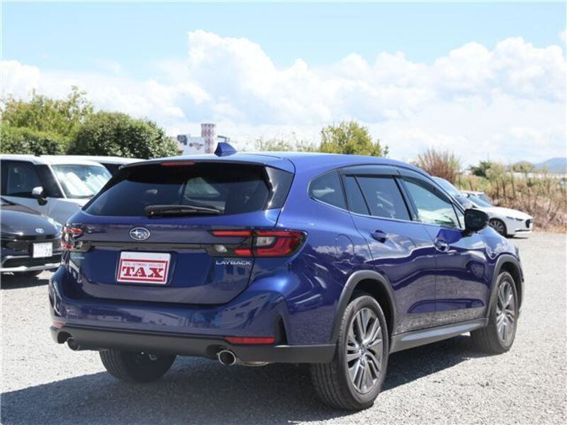 LEVORG