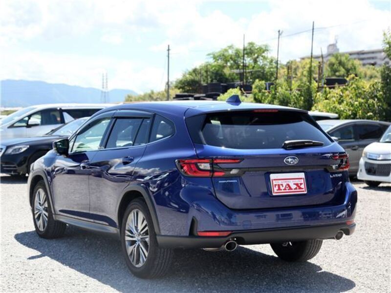 LEVORG