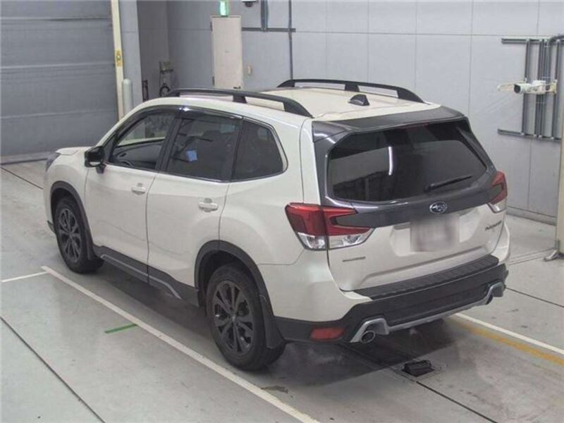 FORESTER