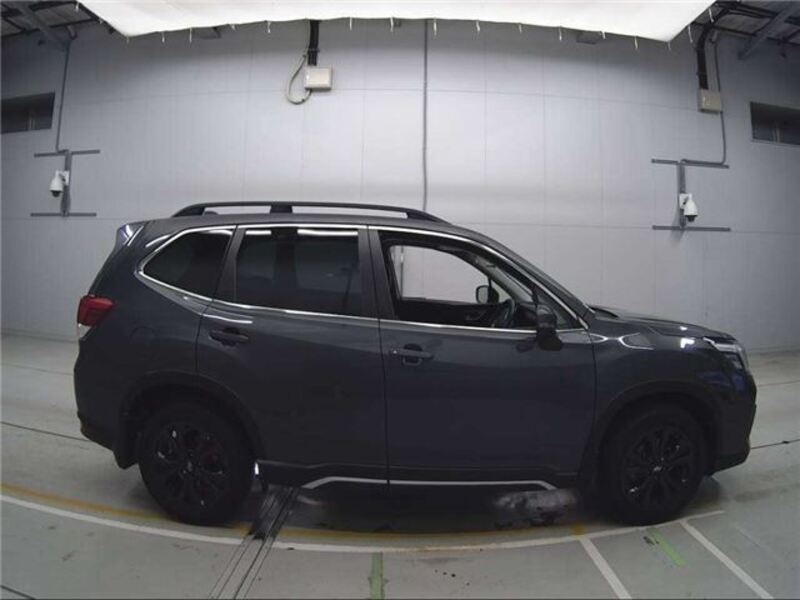 FORESTER