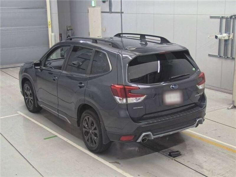 FORESTER