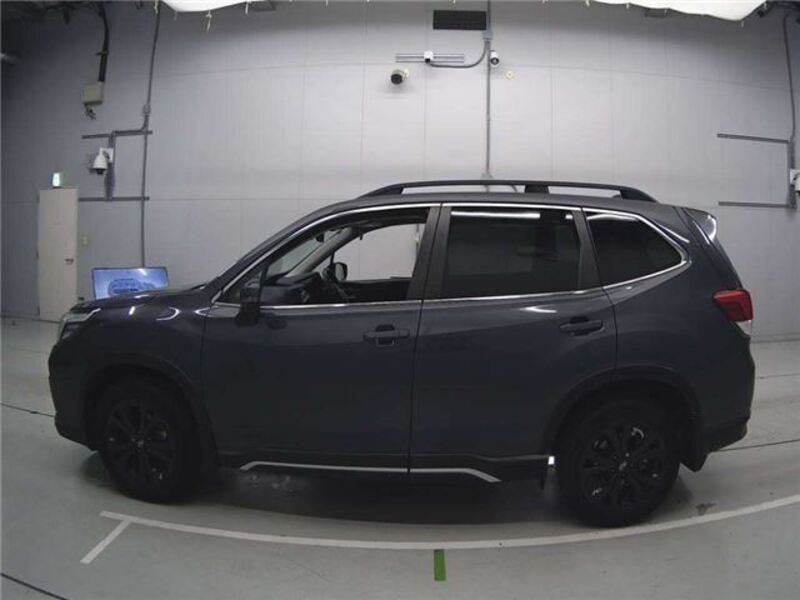 FORESTER