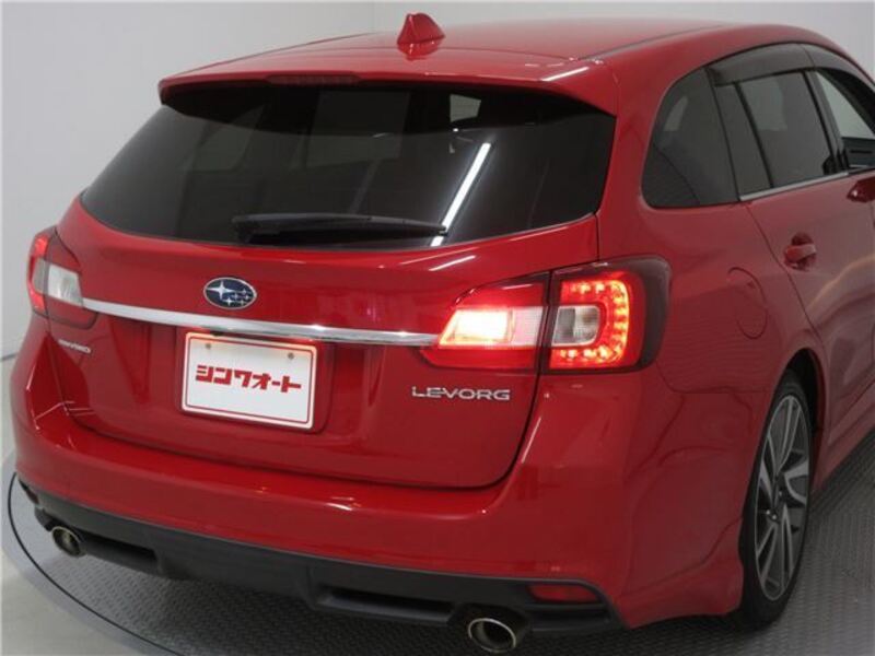 LEVORG