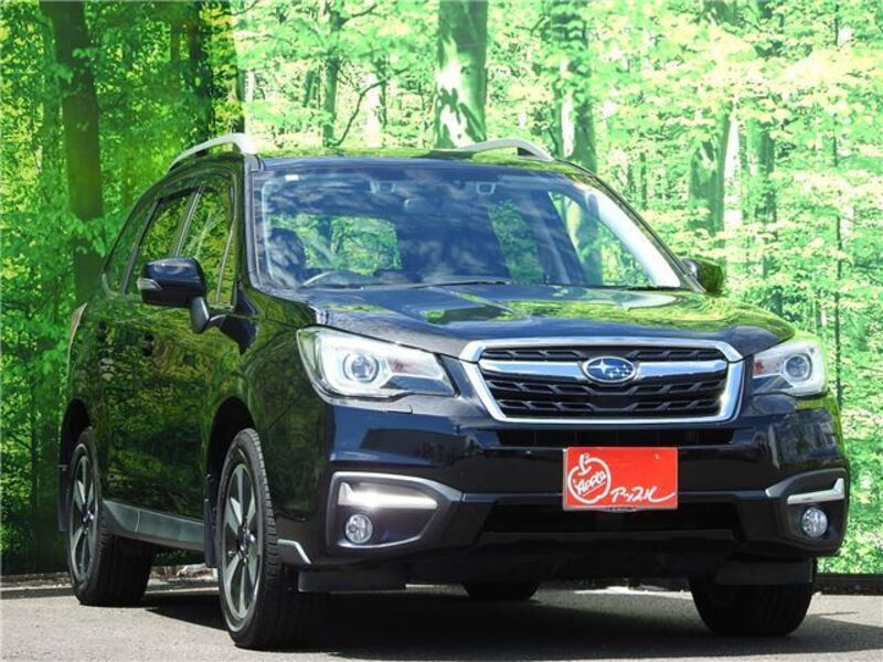 FORESTER