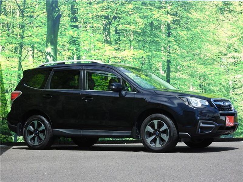 FORESTER