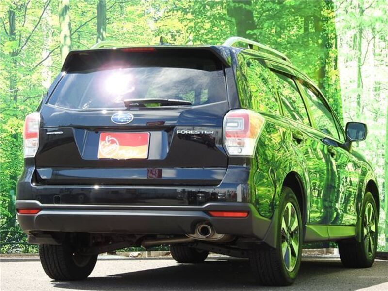 FORESTER