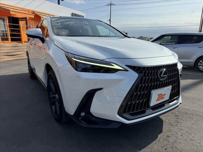 NX