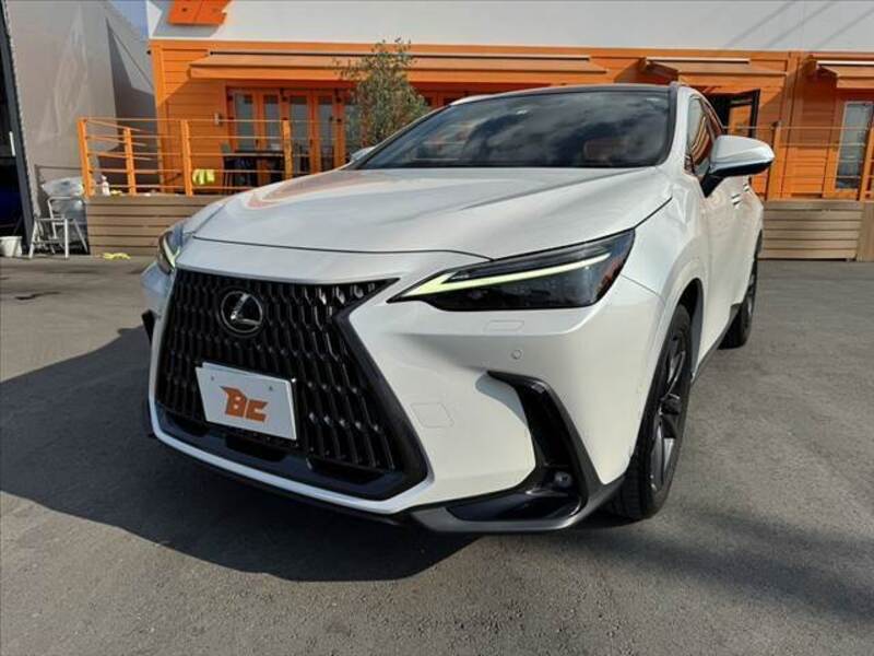 NX