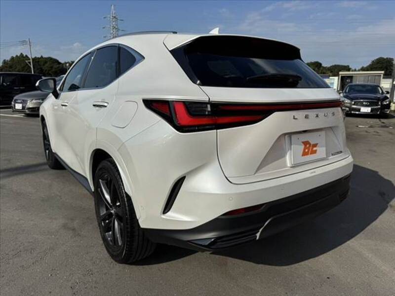 NX