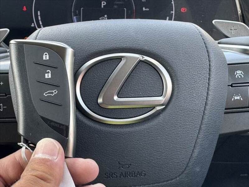 NX