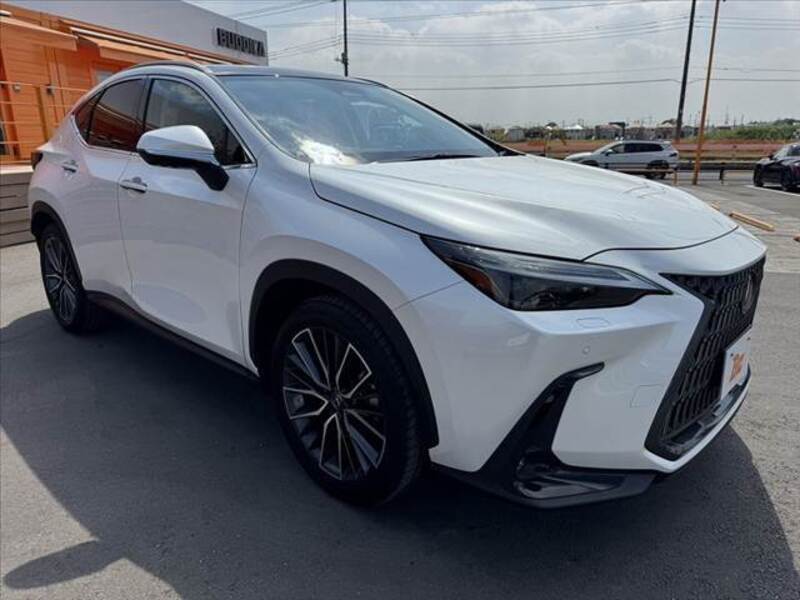NX