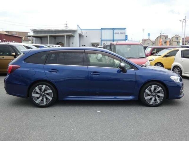 LEVORG