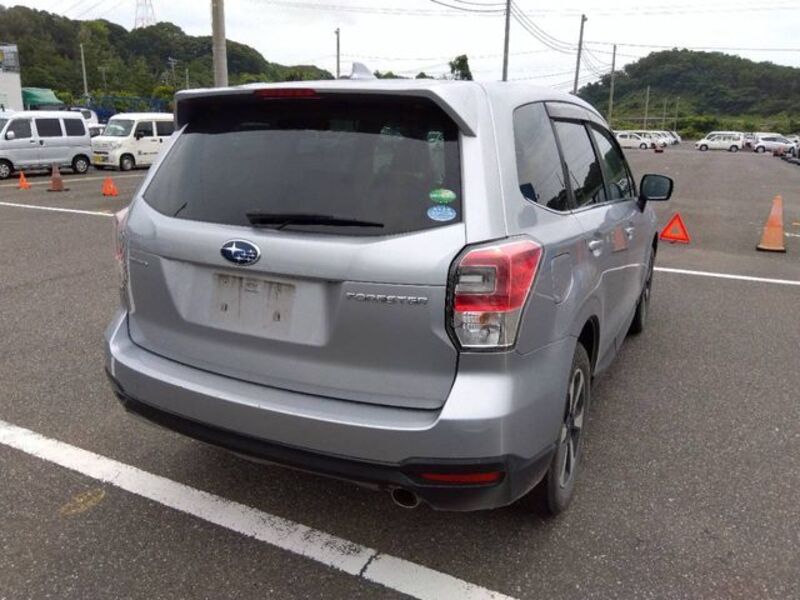 FORESTER