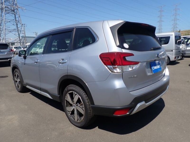 FORESTER