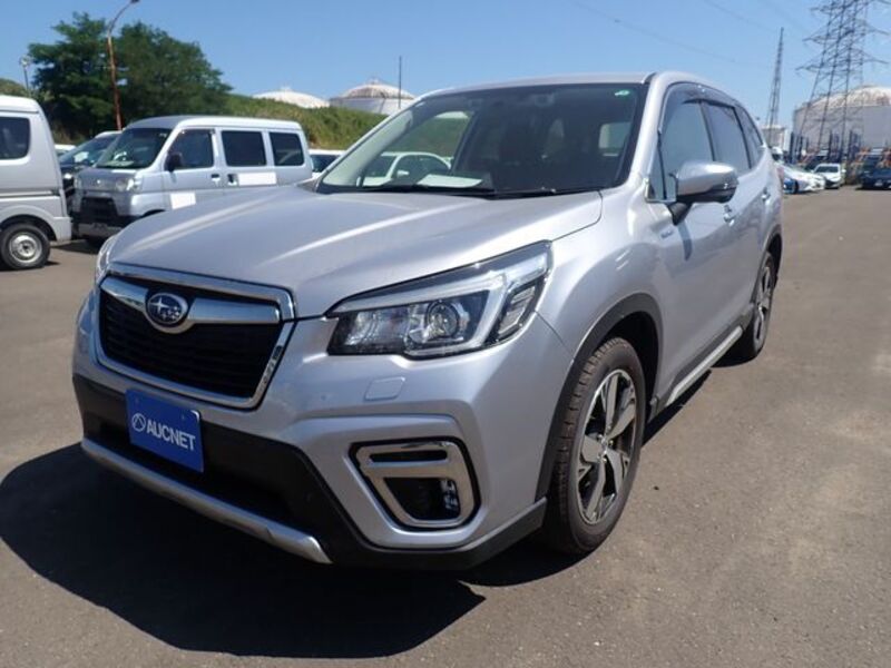 FORESTER