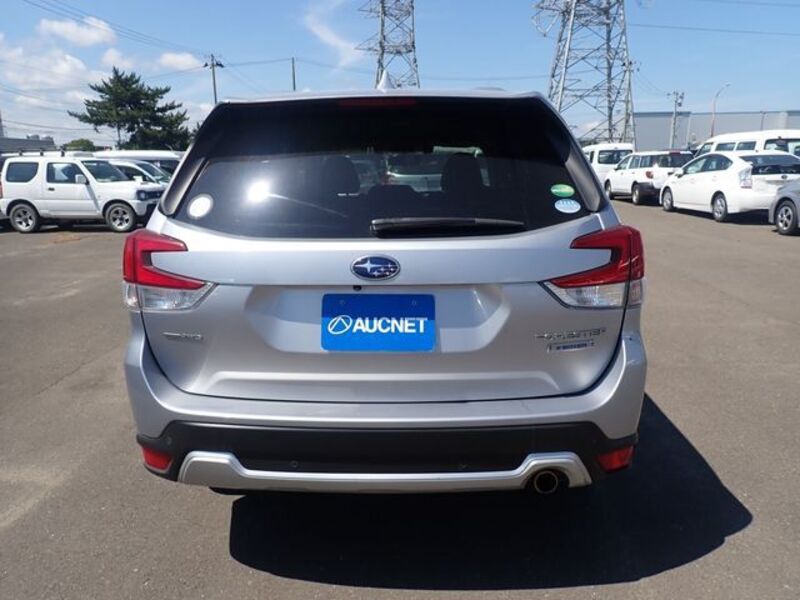 FORESTER