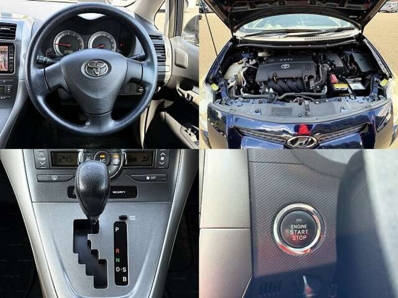 AURIS