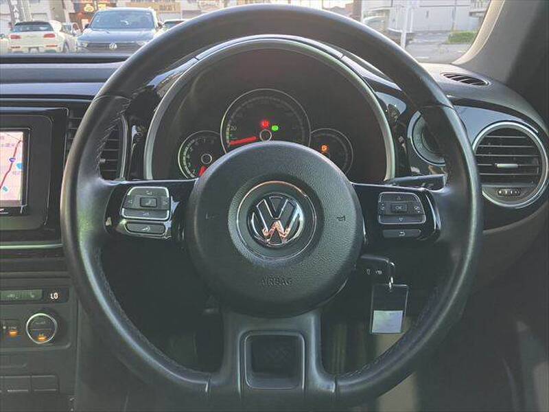 THE BEETLE