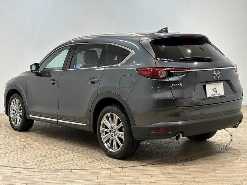 CX-8