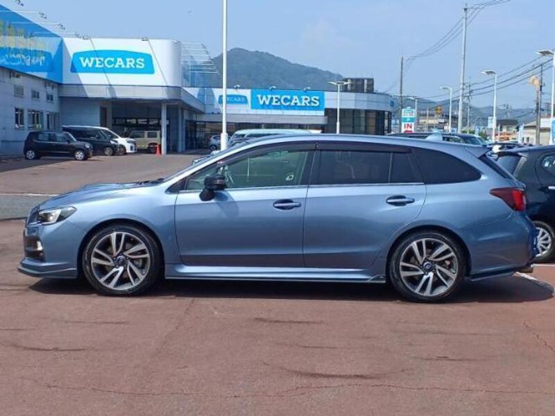 LEVORG