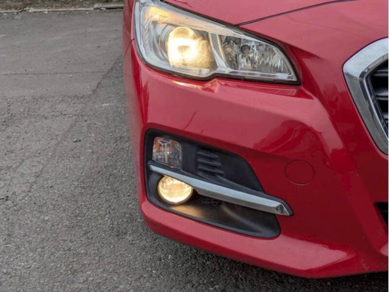 LEVORG
