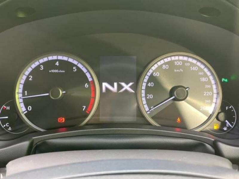 NX