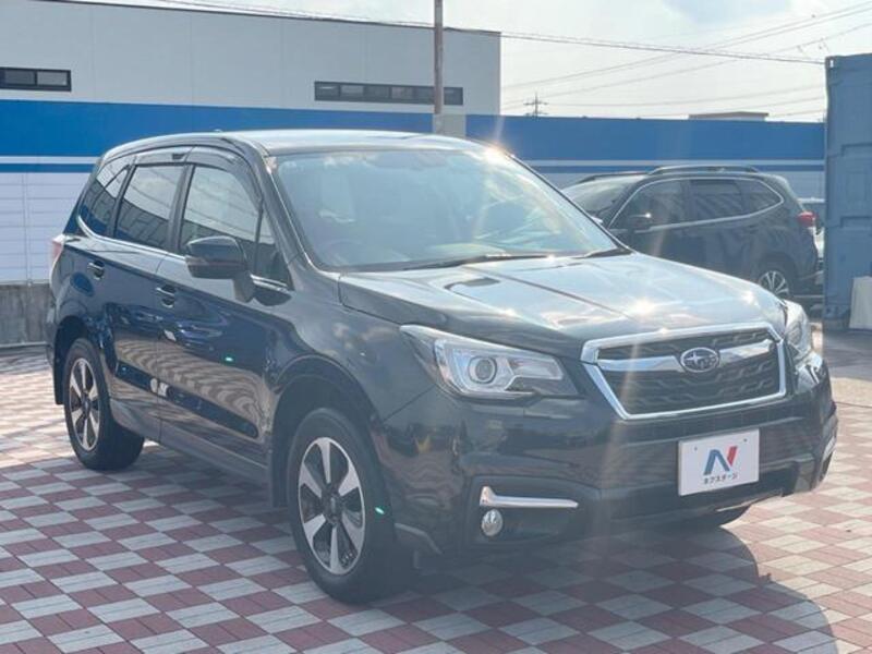 FORESTER