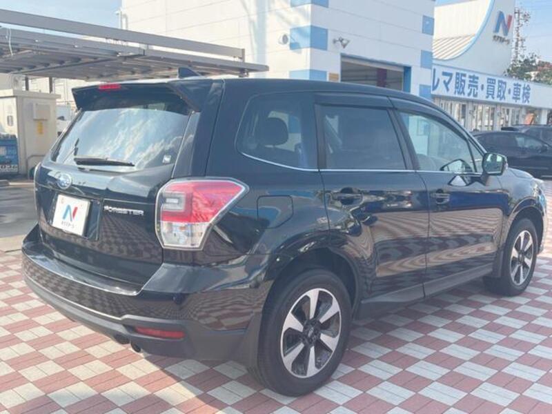 FORESTER