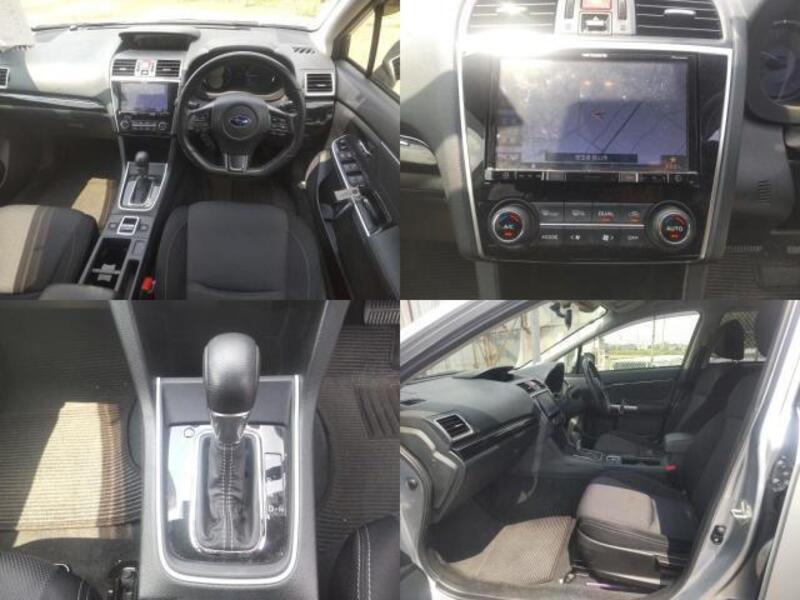 LEVORG