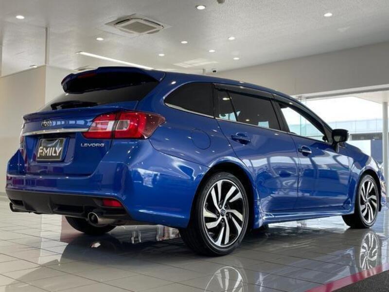 LEVORG