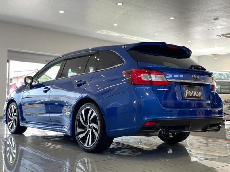 LEVORG
