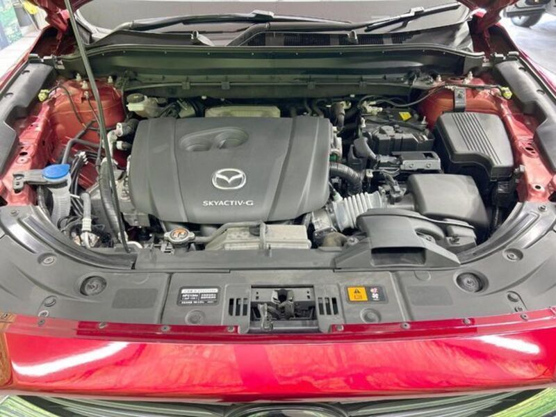 CX-8