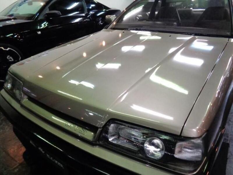 SKYLINE