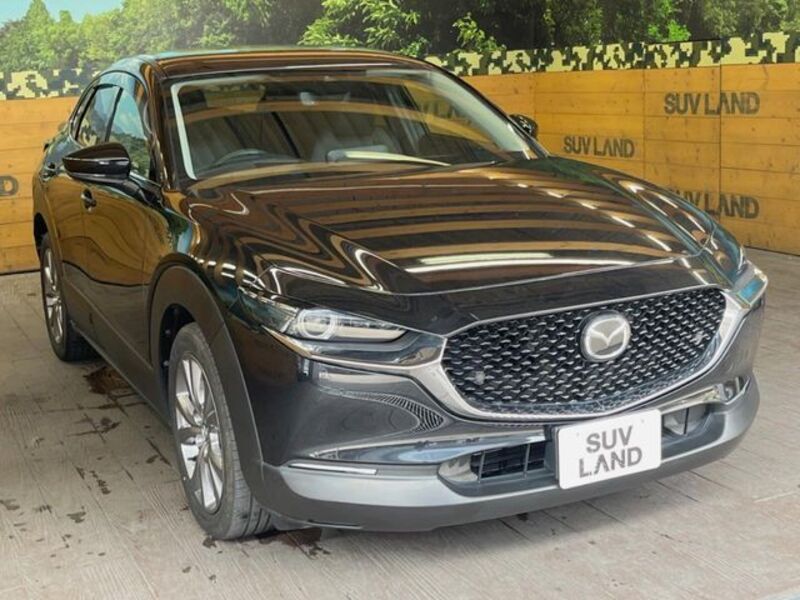 CX-30
