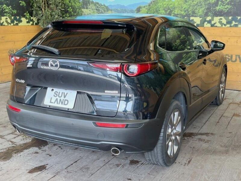 CX-30