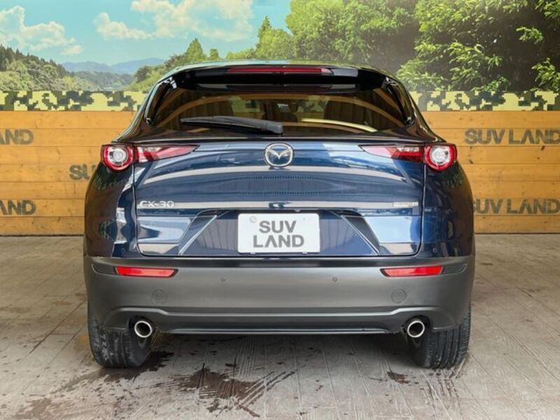 CX-30