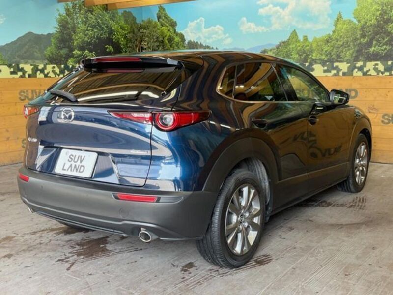 CX-30