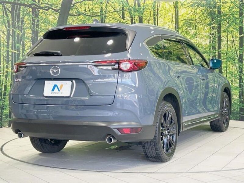 CX-8