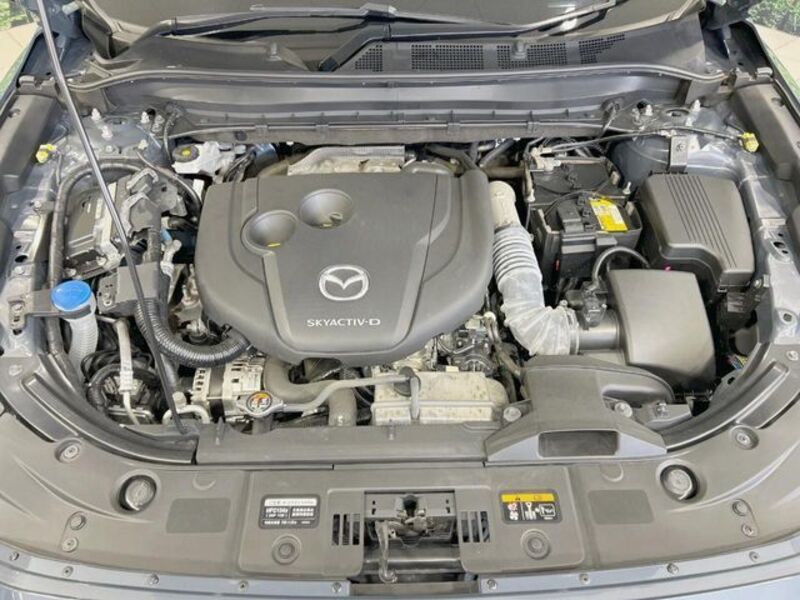 CX-8