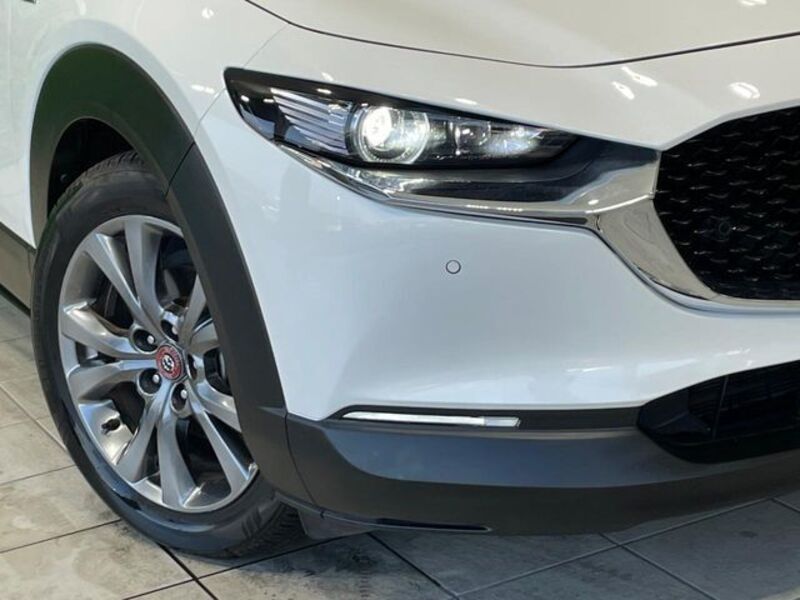 CX-30