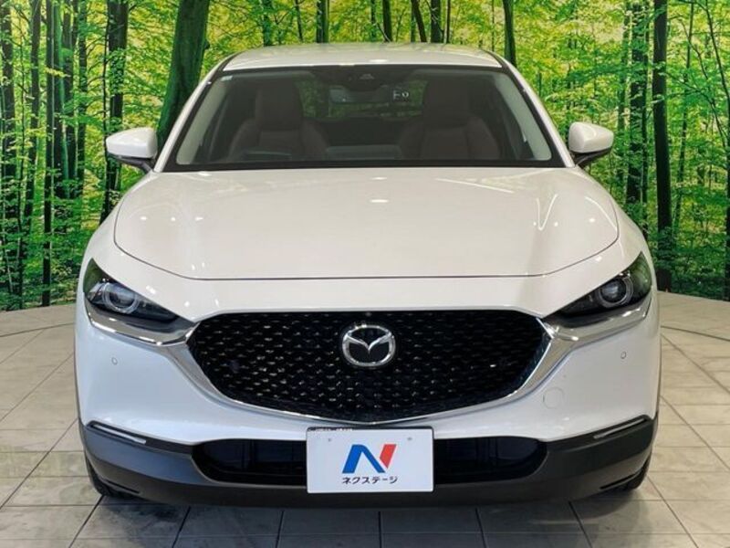 CX-30