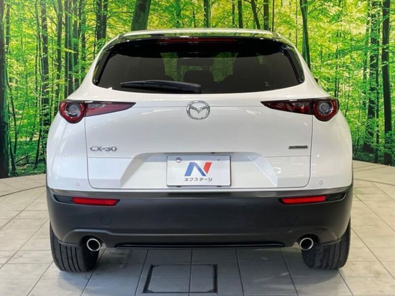 CX-30