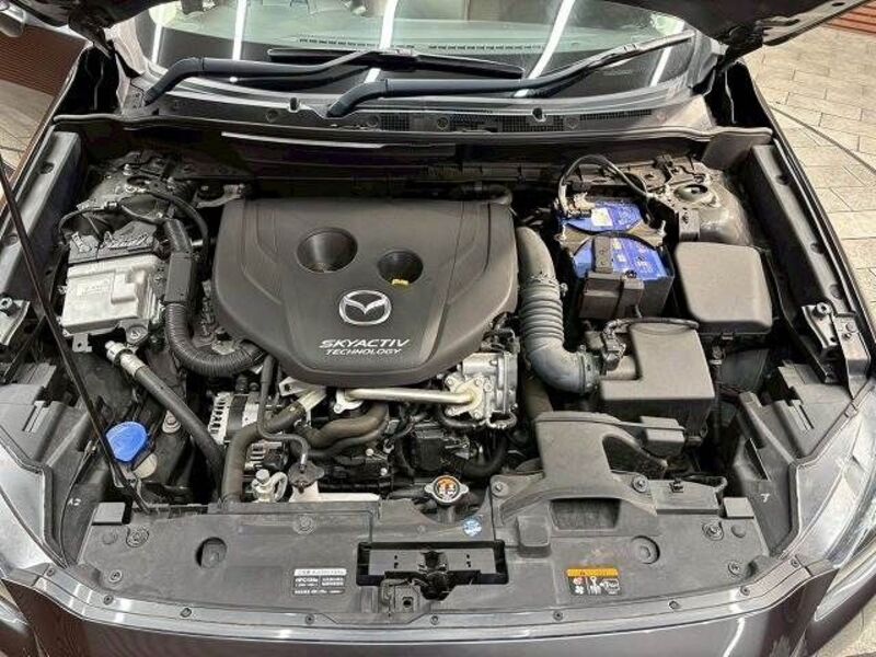 CX-3
