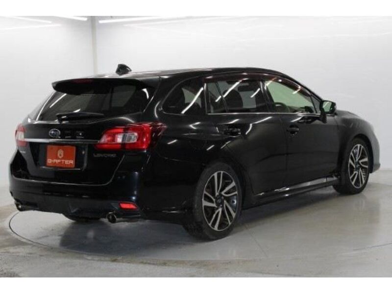 LEVORG