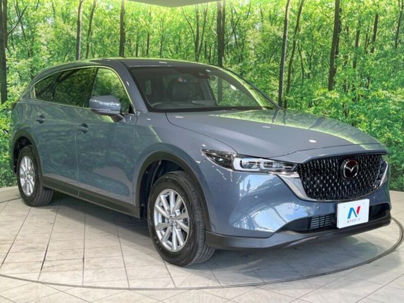 CX-8