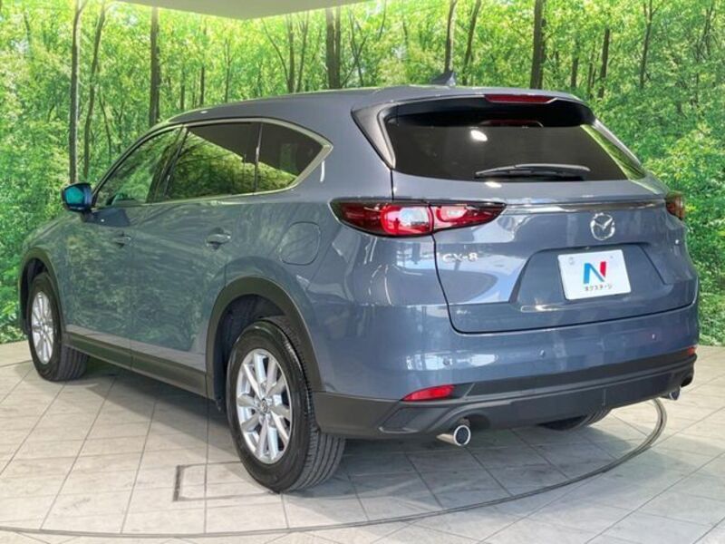 CX-8