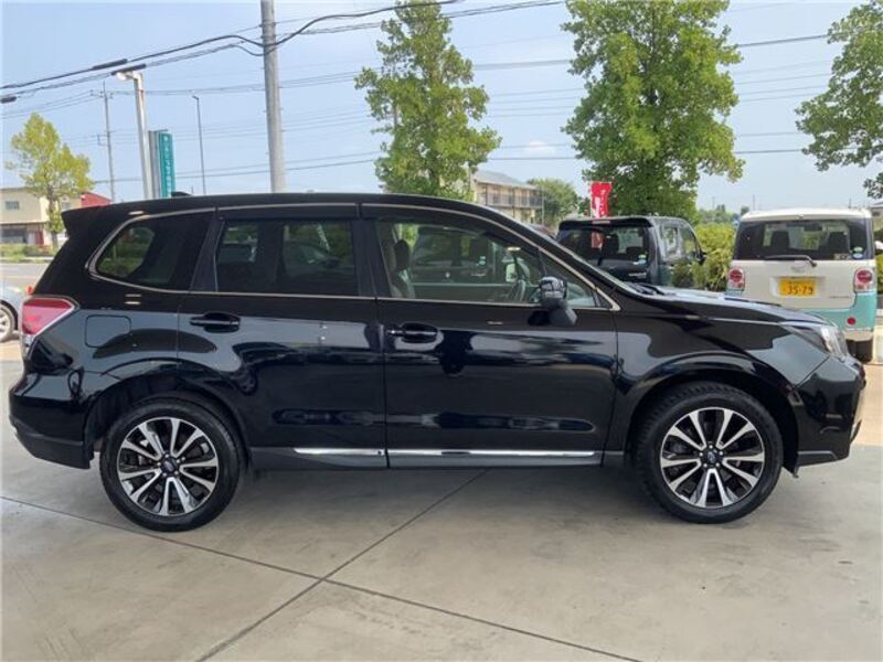 FORESTER